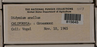 Image Associated With the Occurence